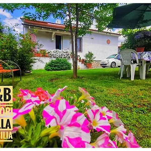 Colori Della Versilia Montignoso